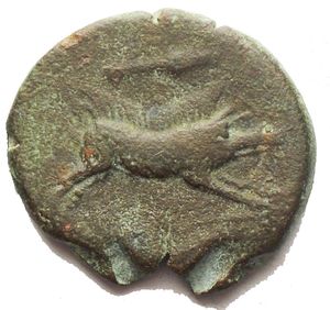 reverse: Apulia Arpi (III sec. a.C.) Obolo. D/ Testa di Zeus a sinistra. R/ Cinghiale a destra, sopra punta di freccia. AE. Gr. 7,1. SNG ANS 635. BB