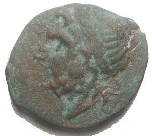 reverse: Apulia Arpi Ae Obolo 217-213 a.C. d/Testa di Zeus verso sinistra r/ cavallo al galoppo verso sinistra sopra una stella sotto  monogramma di Arpi. Peso 3,41 g Diametro 18,1 x 16,01 mm BB+