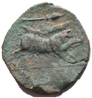 obverse: Apulia Arpi (III sec. a.C.) Obolo. D/ Testa di Zeus a sinistra. R/ Cinghiale a destra, sopra punta di freccia. AE. Gr. 7,94. SNG ANS 635. BB+ 
