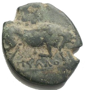 reverse: Apulia Arpi (Circa 275-250 a.C.) AE 19.45 mm. D/ Toro cozzante a destra. R/ Cavallo al galoppo a destra. 4.55 gr. HN Italy 645. BB-SPL Patina verde
