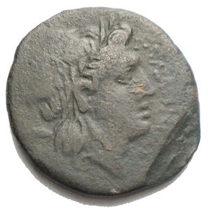 obverse: APULIA - Salapia - AE 21,3 mm - Testa laureata di Apollo a d. /R Cavallo impennato a d.; sopra, un tridente Mont. 1103; S. Ans. 734  g. 7,05 qBB