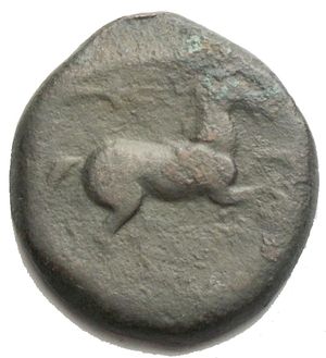 reverse: APULIA - Salapia - AE 21,3 mm - Testa laureata di Apollo a d. /R Cavallo impennato a d.; sopra, un tridente Mont. 1103; S. Ans. 734  g. 7,05 qBB