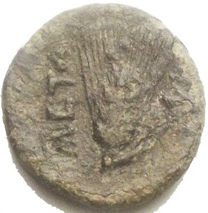 reverse: Lucania Metaponto 300-250 aC. Ae mm 14,02 g 1,72 d/ testa di Persefone a ds r/ Etnico, spiga, simbolo qBB