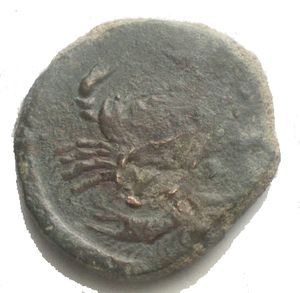 obverse: Agrigento Ae Aquila/Granchio g 7,5 mm 22. Ribattuta ??