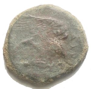 reverse: Agrigento Ae Aquila/Granchio g 7,5 mm 22. Ribattuta ??