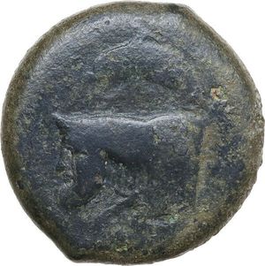 obverse: Sicily. Sileraioi. AE 30.5 mm, c. 340-330 BC. Obv. Forepart of man-headed bull left, ΣΙΛΕΡΑΙΩΝ (retrograde) around. Rev. Warrior advancing to right, holding shield and spear; [ΛIΣ to left]. HGC 2 1242; CNS III 1; Campana 1. AE. 30.88 g. 30.50 mm. RR. Rare issue. Overstruck on Syracusan Litra (Athena/sea star between dolphins). Earthy green patina. Good F.