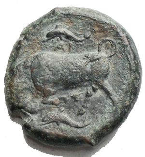 reverse: Syracuse, Sicily. Under Agatohkles (317-289 BC). AE double unit (20.7 x 21.1 mm, 9.65 g), c. 317-295 BC. Obv. Head of Kore-Persephone left, crowned with ears of corn; to left, ΣΥΡΑKOΣIΩN. Rev. Bull butting left, dolphin and AI above, a second dolphin below. SNG ANS 562. Calciati II, 215, 96. Green patina. Very fine.