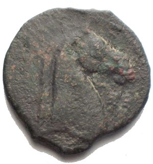 reverse: Siculo Punica. III secolo a.C. AE. D/ Testa di Tanit verso sinistra. R/ Protome equina. Peso 4,81 gr. Diametro 19,7 mm. 