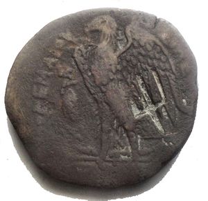 reverse: PTOLEMAIC KINGS of EGYPT. Ptolemy II Philadelphos. 285-246 BC. Æ Diobol (27.7 mm, 15.7 g). Alexandreia mint. Laureate head of Zeus-Ammon right / Eagle, wings spread, standing right on thunderbolt; to left, monogram above shield; Δ between legs. Rif Svoronos 564 Good F. Countermark