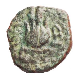 obverse: Greek Coins Ptolemaic Kings of Egypt. Ptolemy Apion (as King of Kyrenaika). AE 11.6 mm. 1.16 g. 104/1-96 BC. Kyrene. Anv. Diademed head of Zeus-Ammon to right. Rev. headdress of Isis. VF. Green patina