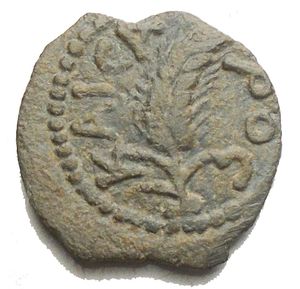 obverse: PROCURATORIAL COINAGE MINTED IN JUDAEA. Æ Prutah, year 39 of the Actian Era (= AD 8/9), JERUSALEM, Praefectus Marcus Ambibulus (in the name of Caesar (Augustus), 15.5 mm, 1.93 g. KAICA-POC, ear of barley//Palm tree, in field dating L - ΛΘ (= year 39 of Augustus  reign). Hendin 1329; Meshorer 317; RPC 4955; SNG ANS 326. Good very fine