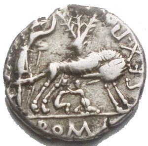 reverse: Repubblica Romana. Sex. Pompeius. Denario, ca 137. D/ Testa elmata di Roma a destra; sotto il mento X. Dietro una brocca. R/ SEX.PO F –OST LVS. La Lupa allatta i Gemelli, dietro il ficus Ruminalis con un uccello sul tronco e due sui rami superiori; nel campo a sinistra il pastore Faustulus si appoggia ad un bastone. In esergo, ROMA. B. Pompeia 1. Syd. 461a. Cr. 235/1c. AG. g 3.81 mm 18.03 x 18.4. BB+. Buon metallo