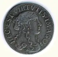 Reverse image