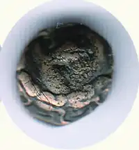 img-1