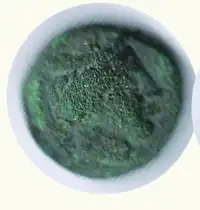 img-0