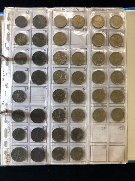 Immagine aggiuntiva 9