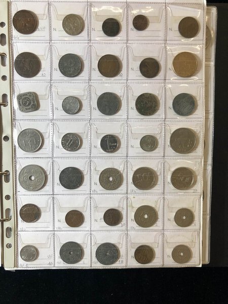 Immagine aggiuntiva 6