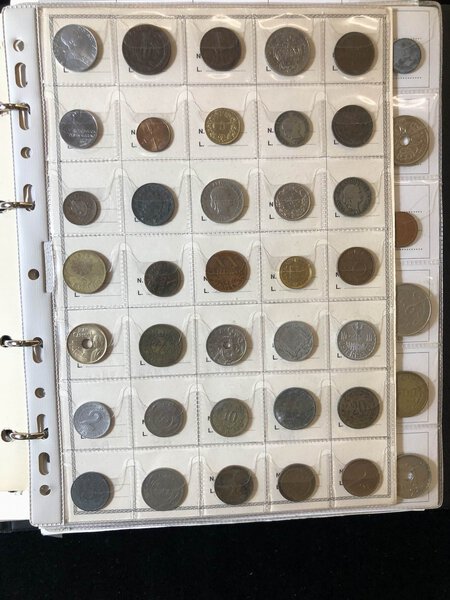 Immagine aggiuntiva 8