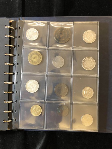 Immagine aggiuntiva 5