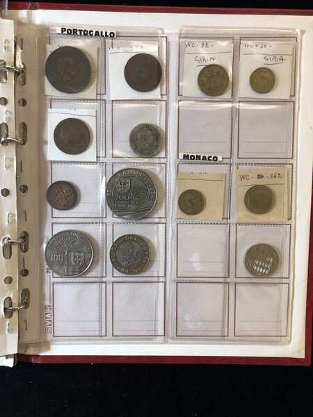 Immagine aggiuntiva 1