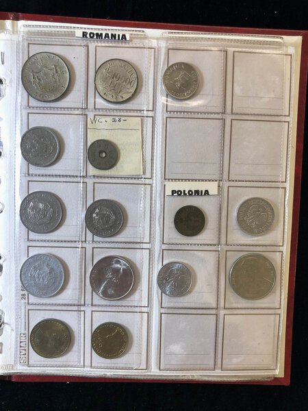 Immagine aggiuntiva 6