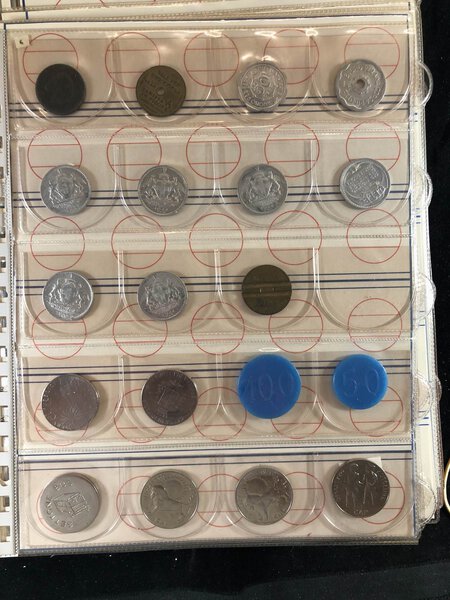 Immagine aggiuntiva 8