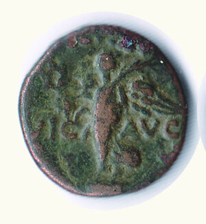 obverse: MACEDONIA Filippi - Piccolo bronzo