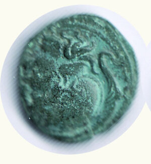 obverse: TRACIA Lysimachos - Piccolo bronzo