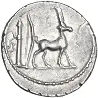 img-1