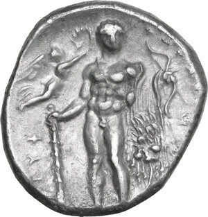 reverse: Southern Lucania, Heraclea. AR Stater, 330/25-281 BC