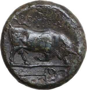 reverse: Southern Lucania, Thurium. AE 30 mm., c. 350-300 BC