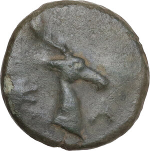 obverse: Bruttium(?), Breig. AE 13mm, c. 300-250 BC