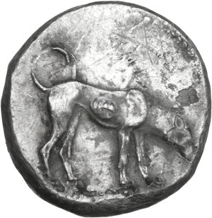 obverse: Segesta. AR Didrachm, c. 480-475 BC
