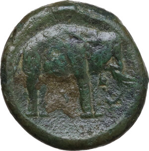 reverse: Etruria, Arretium (?) The Chiana Valley. AE 18 mm, c. 208-207 BC