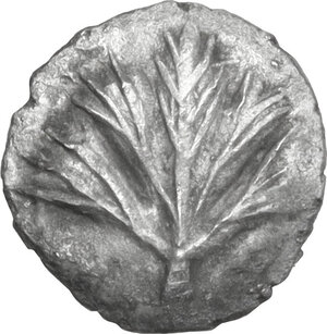 obverse: Selinos. AR Litra, 515-480 BC
