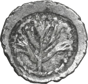 obv: Selinos. AR Litra, 515-480 BC