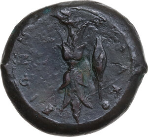 reverse: Syracuse.  Timoleon and the Third Democracy (344-317 BC).. AE 24 mm. 1st series, c. 343-339/8 BC