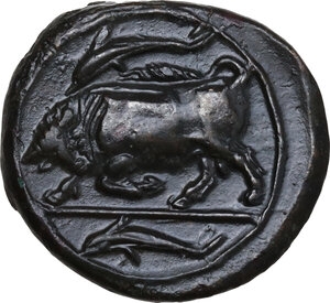 reverse: Syracuse.  Agathokles (317-289 BC).. AE 17mm., 317-310 BC
