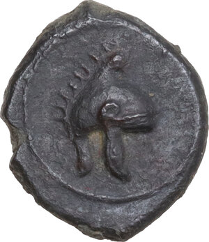 obverse: Tauromenion.  Mercenaries Campanoi. AE Onkia, c. 354-344 BC