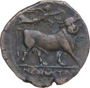 reverse: Central and Southern Campania, Neapolis. AE 14 mm, c. 250-225 BC