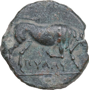 obverse: Northern Apulia, Arpi. AE 19 mm, 275-250 BC