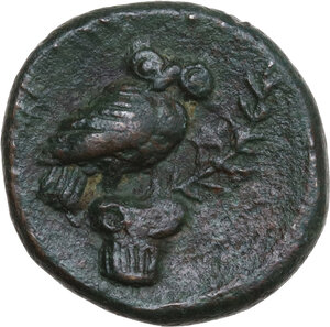reverse: Southern Apulia, Azetium. AE 19 mm, 300-275 BC