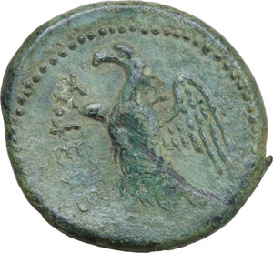 reverse: Umbria, Tuder. AE 20 mm, c. 280-240 BC