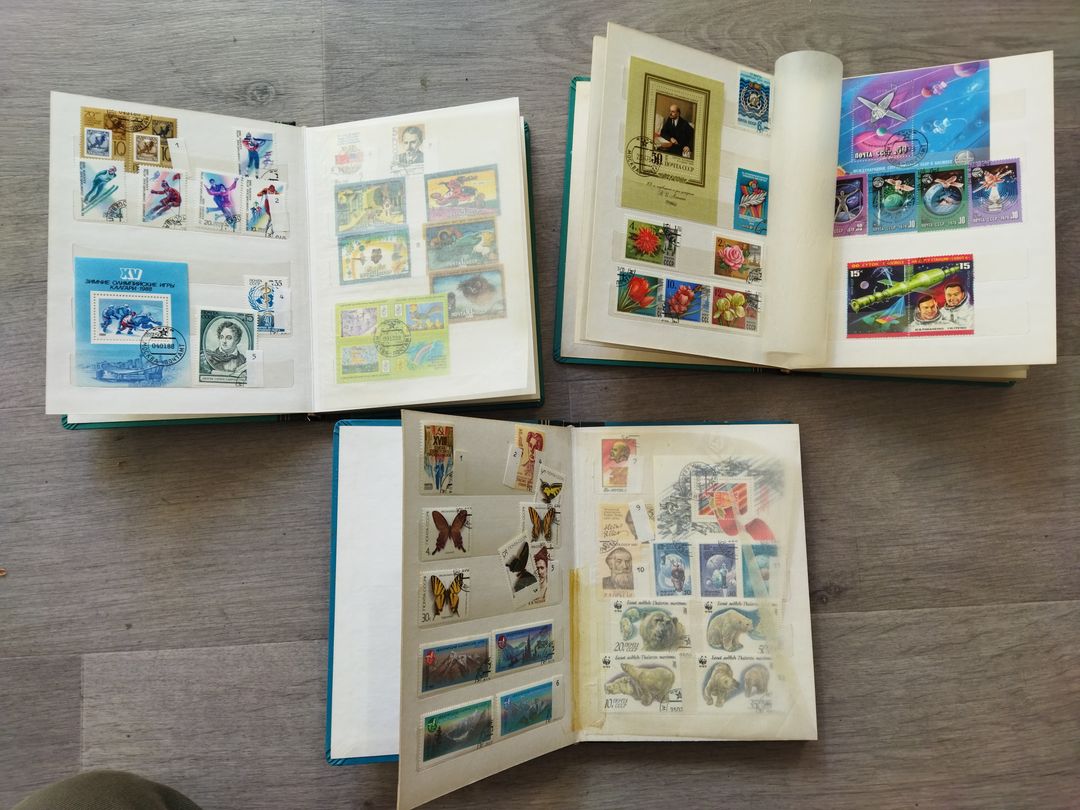 Immagine aggiuntiva 1