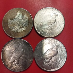 reverse: USA. Lotto 04 monete da 1 dollaro LIBERTY del 1923,1924, 1925, 1926. Conservazioni varie. 
