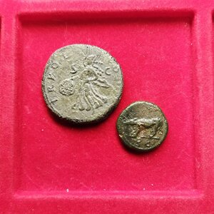 reverse: Lotto molto interessante di 2 monete dell’imperatore TRAIANO (98-117), entrambe con zecca di Roma: 1.) AE asse (10,62 gr. - 29 mm.). R.\: TR POT COS II. BB-qBB. Ottima patina verde; 2.) AE quadrante (17 mm. – 2,58 gr.). R.\: Lupa a sinistra, S C; C. 69. MB. NC;