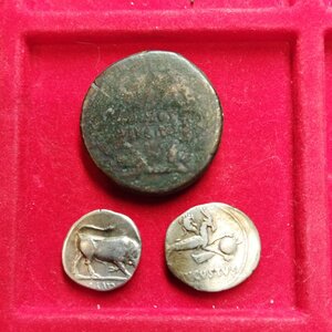reverse: Lotto di 3 monete davvero molto interessante dell imperatore AUGUSTO (27 a.C. - 14 d. C.):
1.) Ottaviano, come Imperatore (43-27 a.C.), con Divus Julius Caesar.AE sestertius (21,28 gr. - 31 mm.), D.\: DIVI F, testa nuda di Ottaviano a destra; stella con otto raggi nel campo a destra; R.\: DIVOS IVLIVS, legenda su due righe entro corona d alloro. Crawford 535/2. RPC I 621. 2.) AUGUSTO (27 a.C. - 14). Lugdunum. AR denarius (3,85 gr. - 19 mm.). D.\: AVGVSTVS DIVI; R.\: IMP X, toro scalciante a destra; RIC 167. BB. R1.3.) zecca incerta, Spagna o Lugdunum. AR denarius (3,70 gr. - 20 mm.), R.\: AVGVSTVS - Capricorno a d. con bastone, cornucopia e globo C. 21; RIC 126.