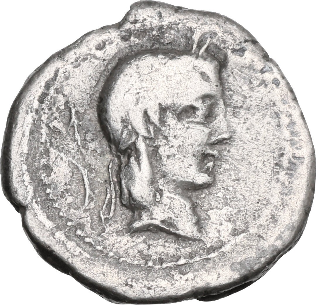 Dritto moneta