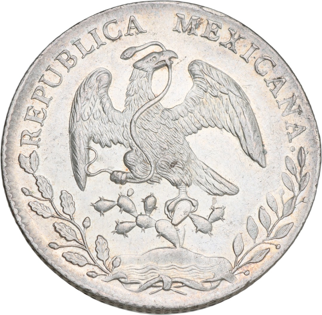 Dritto moneta