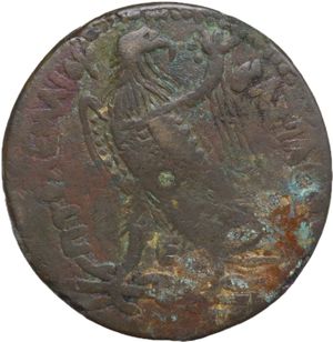 reverse: Africa. Egypt, Ptolemaic Kingdom. Ptolemy III Euergetes (246-222 BC). AE 38 mm, Alexandria mint.